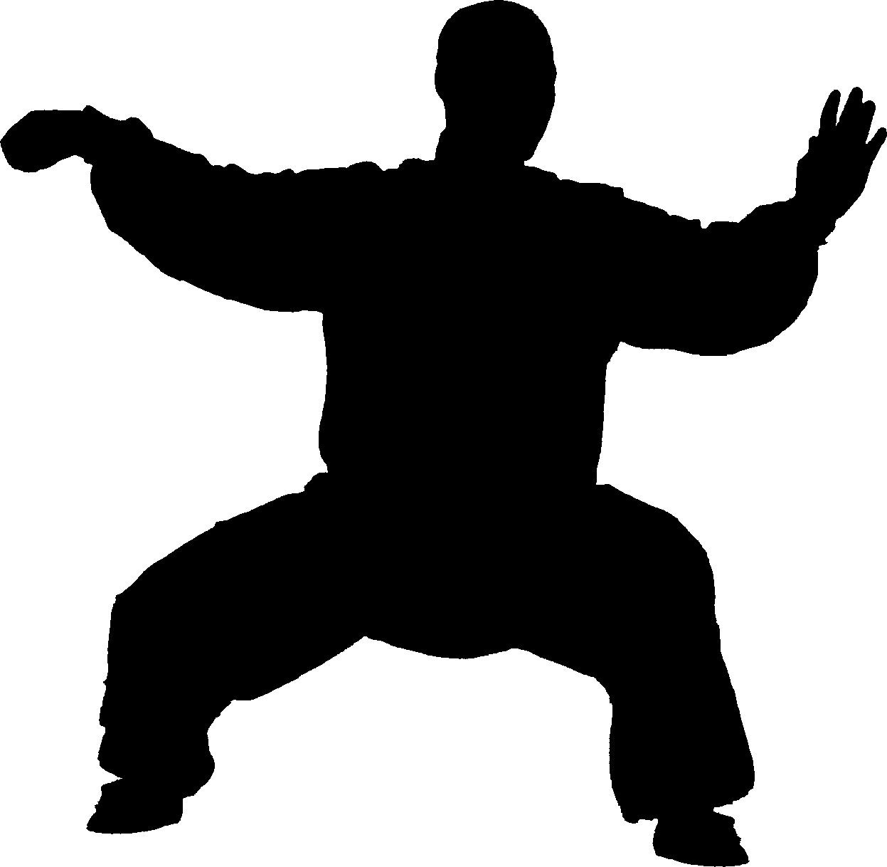 Tai chi practitioner silhouette