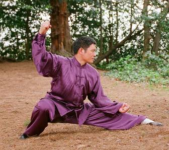 Shifu Liu in purple silk uniform performing a low stance outdoors